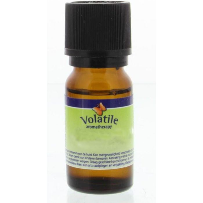 Volatile Hysop main product photo