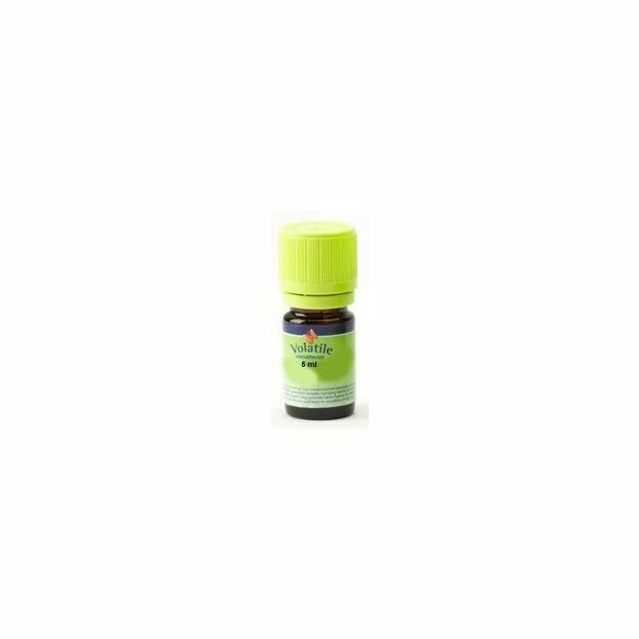 Volatile Sinaasappel, Zoet main product photo