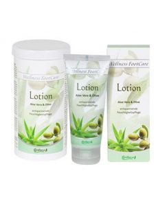 Camillen 60 Lotion Aloë Vera/Olive