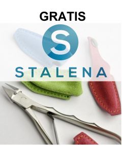 Introductie Workshop STALENA gratis